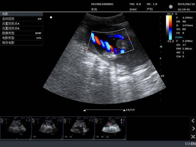èå¸¦å½©è²è¡æµ